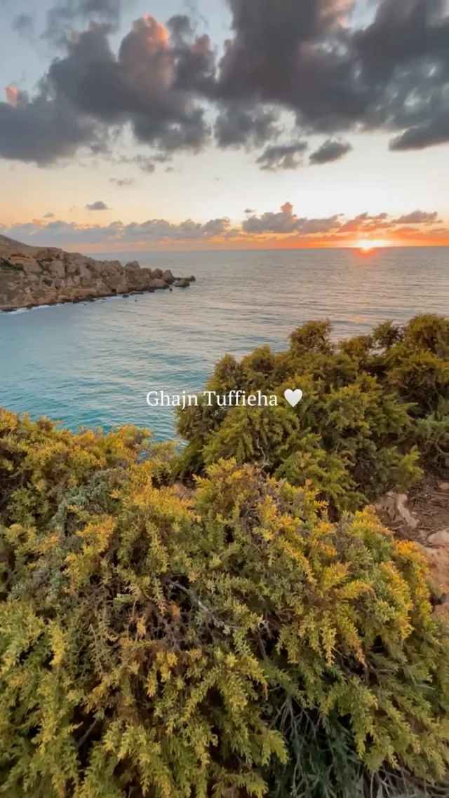 The most beautiful beach in Malta ... 🌴🌞🍦🍉Start planning your summer getaway now with our Malta Gudie (link in bio)!🌴Must-See Beaches, Villages & Stunning Views
🍹Top Recommendations for Stays, Restaurants & Experiences
🌞 Weather and Best Time to Visit
🥐 Culture, Food, and Festivals
⠀⠀⠀⠀⠀⠀⠀⠀⠀
Create your ideal trip to Malta without the stress! 😍❤️ Follow @worldofmalta for daily Malta inspirationBest time to Visit | Things to do in Malta | Tips for Visiting Malta | Hidden Gems in Malta | Visit Malta | Malta Life | Malta Diaries | Malta by Local | Summer in Malta | This is Malta | Malta Beaches | Malta Activities